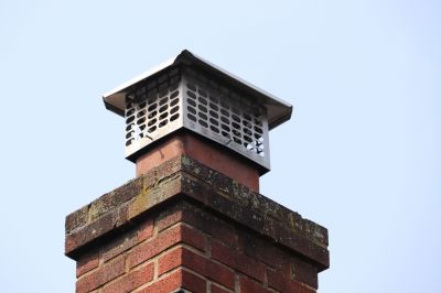 Protect Your Chimney From Debris and Natural Elements